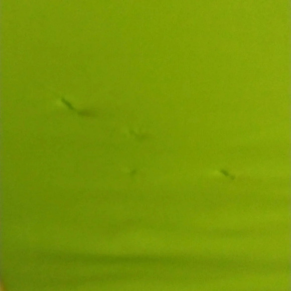 Learn how to Swim  body-suite Lime green with Blue trim Unisex - Picture 2 of 7